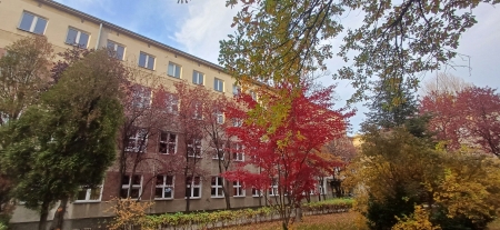 Spotkanie z Absolwentem - dzień 3